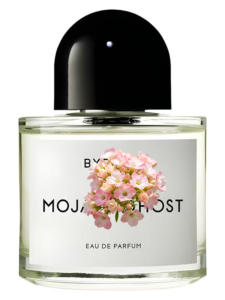 MOJAVE AGOTADO Perfume Unisex  - Men'S Fashion Perfume reseña y precio